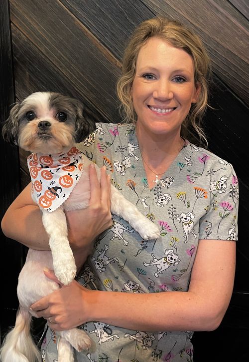 Dog Grooming in Franklin County, GA